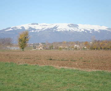 Italian countryside showing fields and snow-capped mountains