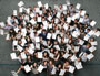 Group photo 23