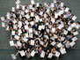 Group photo 24