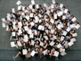 Group photo 25
