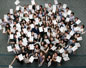 Group photo 26