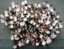Group photo 29
